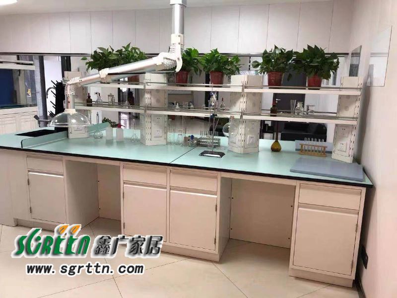 化驗室pp操作臺，實驗臺鋼木化學試驗桌，工作臺學校通風柜，全鋼試驗臺