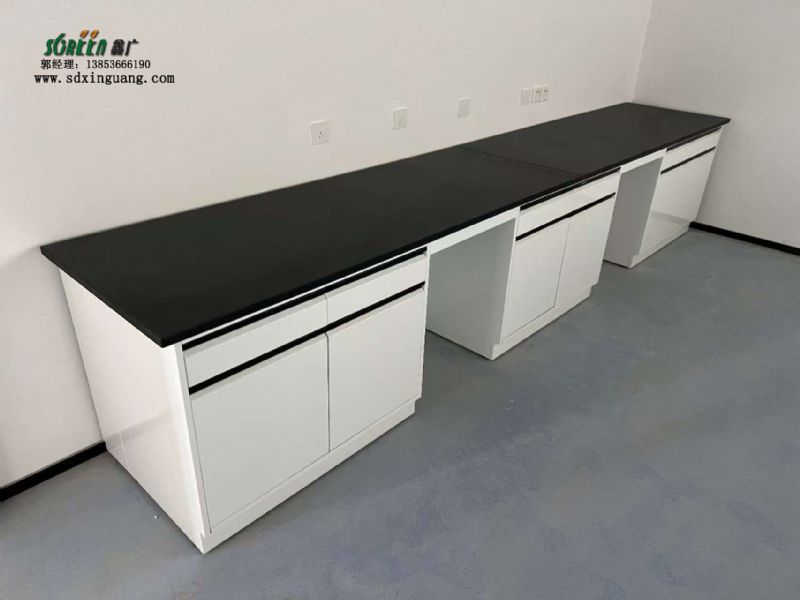 山東實驗臺廠家 全鋼實驗臺 實驗室工作臺供應(yīng)